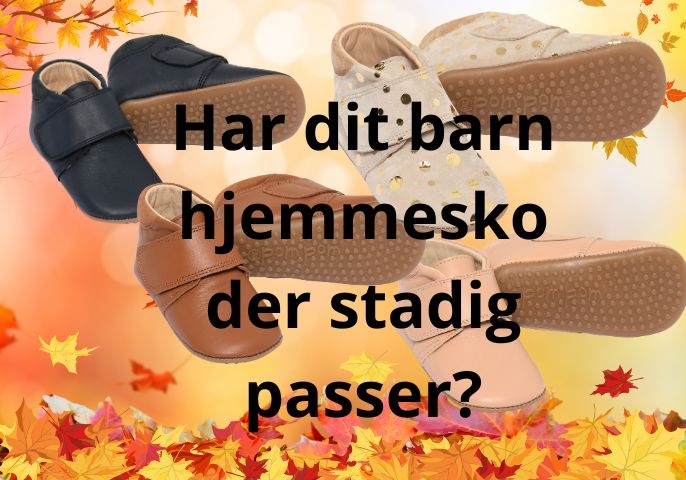 Krabbelshue von PomPom